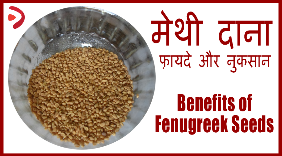 fenugreek benefits