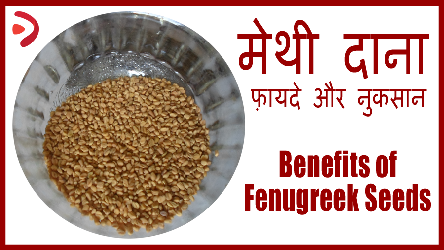 fenugreek benefits